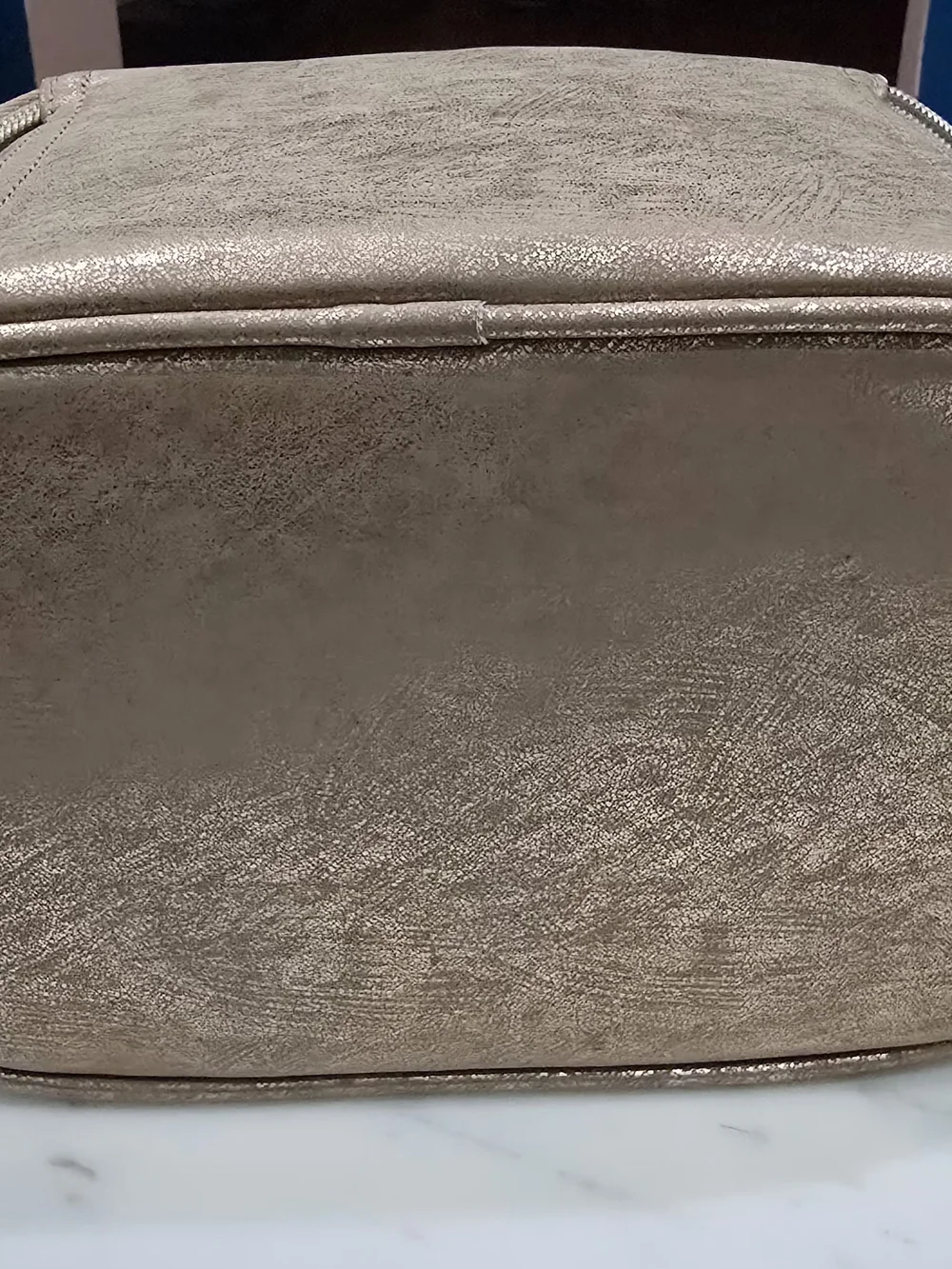 Old Navy Shimmering Gold Cosmetic Train Case